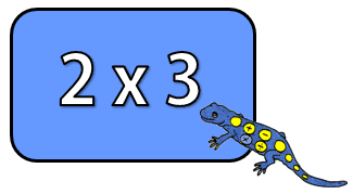 2 times tables quadra image