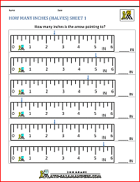 2nd grade math worksheets how many inches halves 1