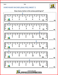 2nd grade worksheets how many inches halves 2
