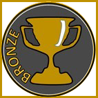 Bronze award image