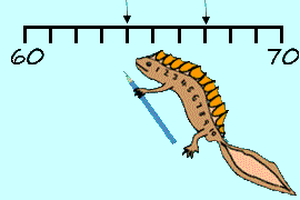 Number Lines Newton Number Newt