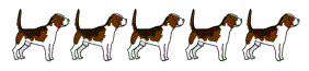 row of dogs image
